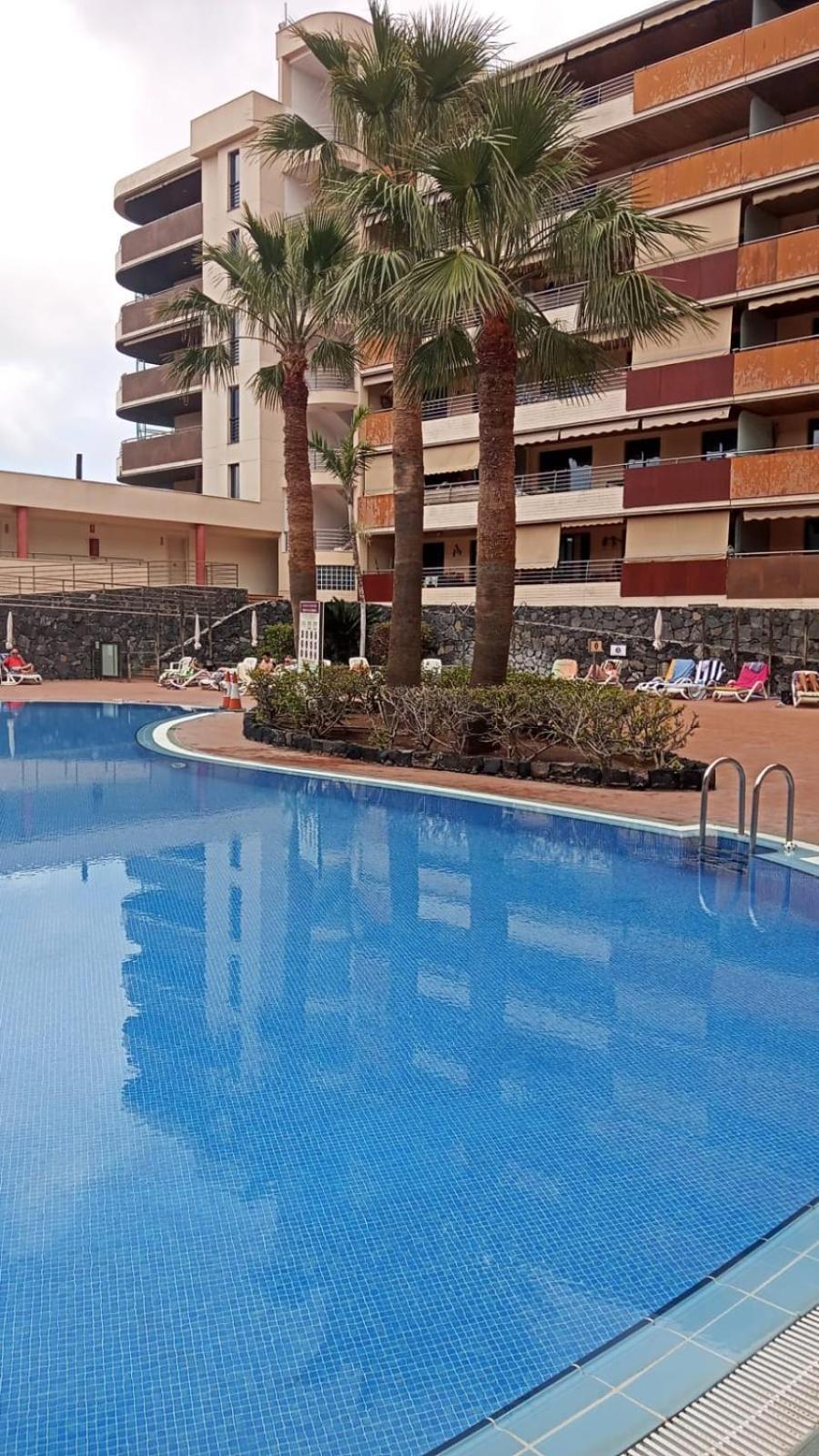 Vistas De Los Gigantes Apartamento 2 Dormitorios Puerto de Santiago  Exterior foto